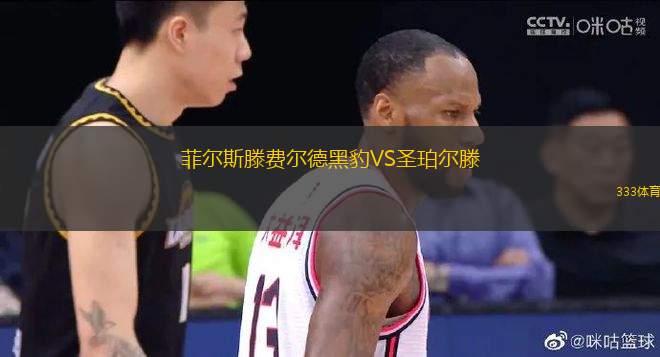 菲爾斯滕費爾德黑豹VS圣珀爾滕