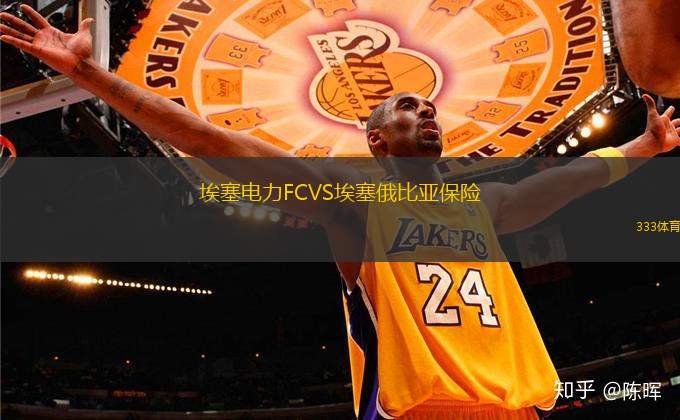 埃塞電力FCVS埃塞俄比亞保險(xiǎn)