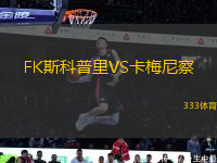 FK斯科普里VS卡梅尼察