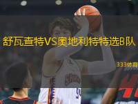 舒瓦查特VS奧地利特特選B隊