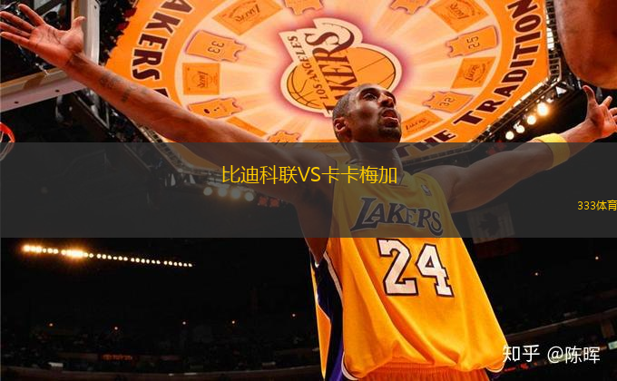 比迪科聯(lián)VS卡卡梅加